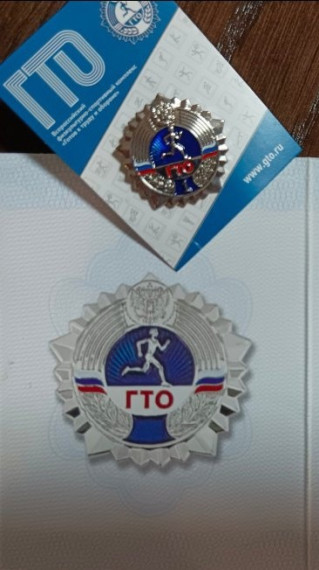 Значки ГТО.